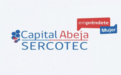 Postula al Capital Abeja Emprende